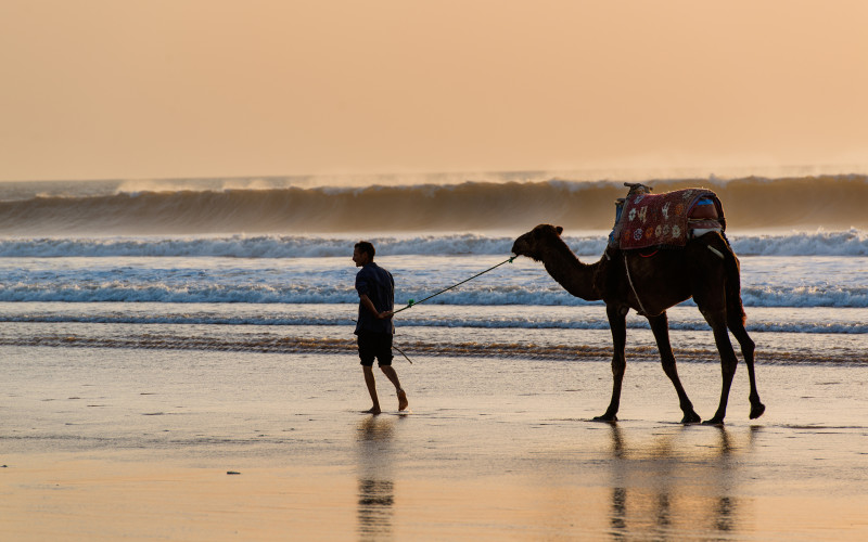 Camel Trekking